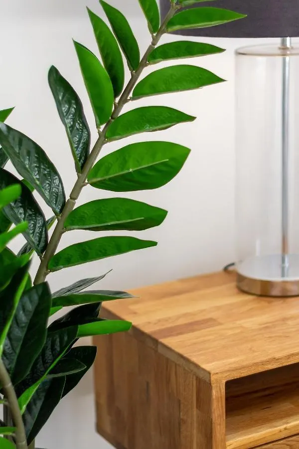Modern 2 Bed, Hagley Park, Riverside Market Christchurch 0*,