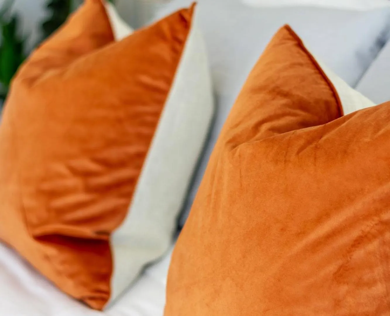Apartment Modern 2 Bed, Hagley Park, Riverside Market Christchurch New Zealand